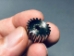 20T Gear Wheel, servo, 25T (32P, 20° PA) - PDRS20TGW-25T